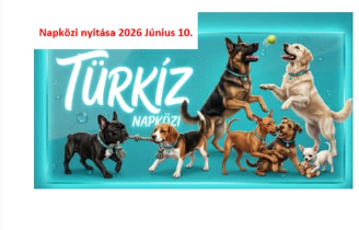 Kutyanapközi
