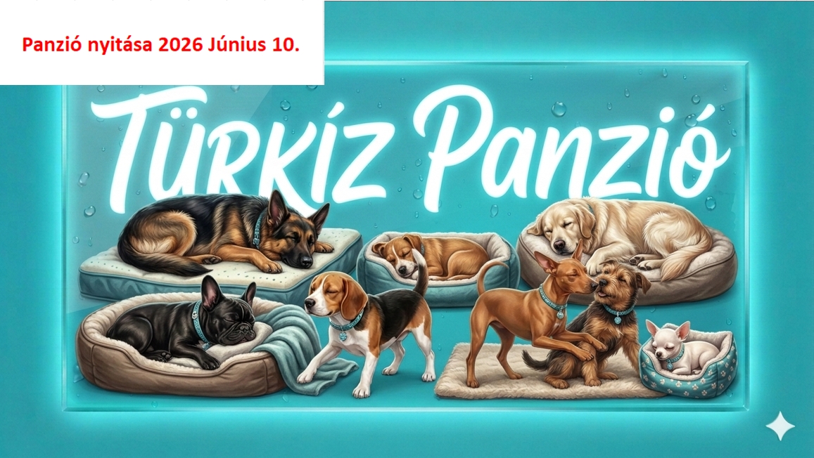 Kutyapanzió