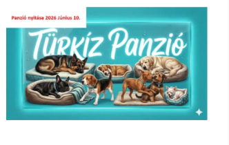 Kutyapanzió